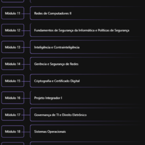 DEFESA CIBERNÉTICA